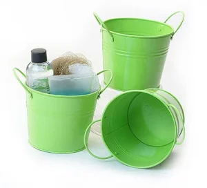 5 inch Lime Painted Side Handle Pail
