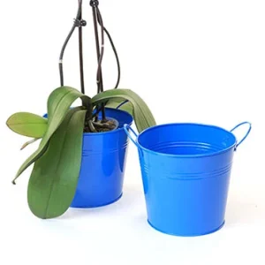 6 1/2 inch Blue Painted Pail with Side Handles
