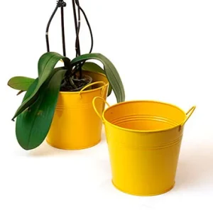 6 1/2 inch Goldenrod Painted Pail with Side Handles