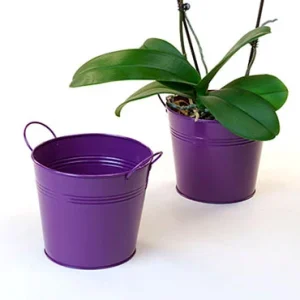 Painted Pails with Side Handles