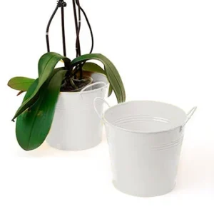 6 1/2 inch White Painted Pail with Side Handles