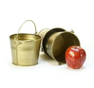 5 inch Round Gold Painted Handle Pail